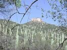 Salt Rivern Scenery